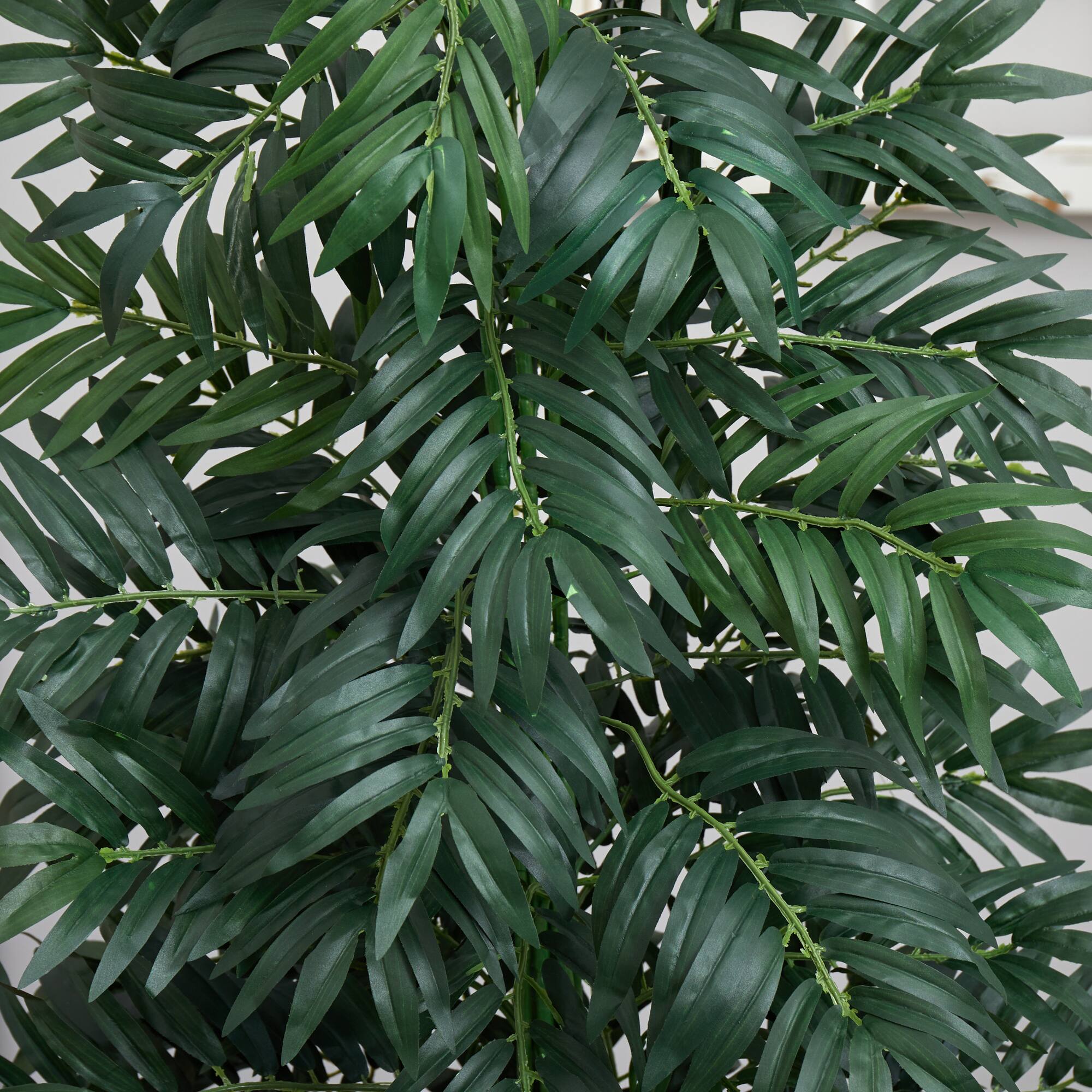 5.5ft. Bamboo Palm Plant in Decorative Planter